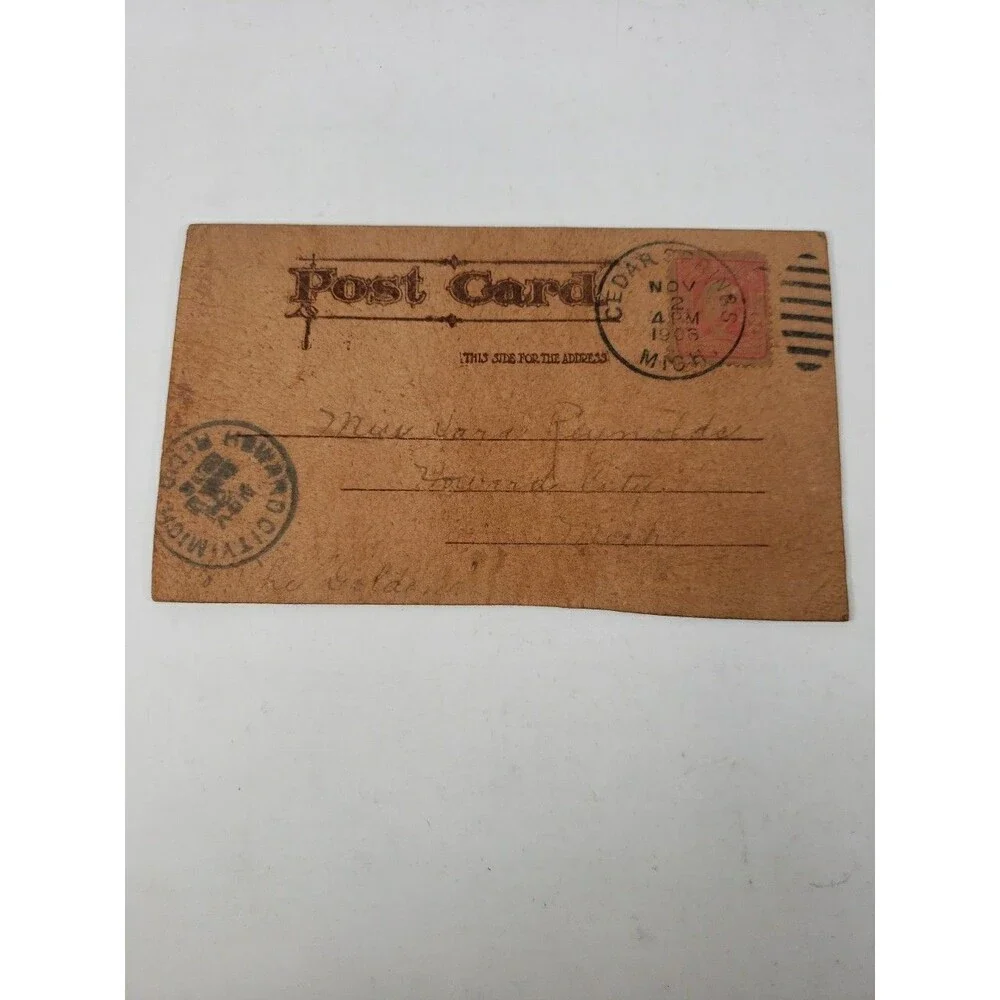 Antique Leather Postcard Mother Pin A Rose On Me Cedar Springs Michigan MI 1906